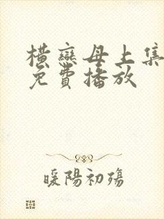 横恋母上集全集免费播放封面