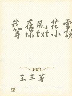 我在风花雪月里等你txt小说下载