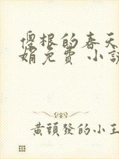 傻根的春天沈丽娟免费 小说