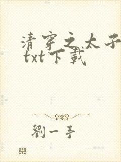 清穿之太子娇妃 txt下载