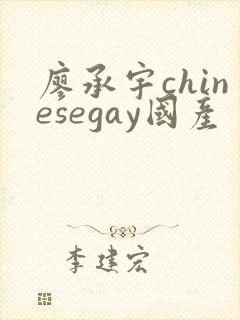 廖承宇chinesegay国产