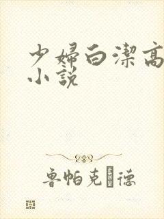 少妇白洁高义 小说