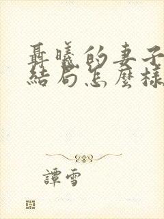 聂曦的妻子后来结局怎么样封面