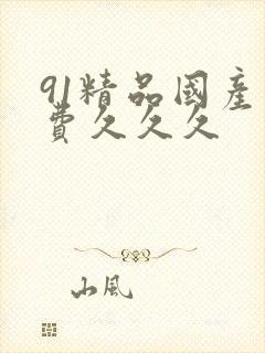 91精品国产免费久久久封面