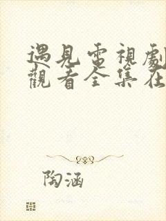 遇见电视剧免费观看全集在线播放封面