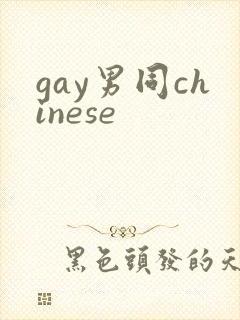 gay男同chinese