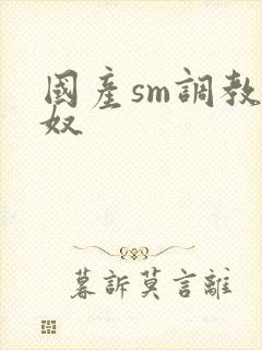 国产sm调教男奴封面