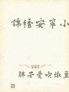锦绣安宁小说