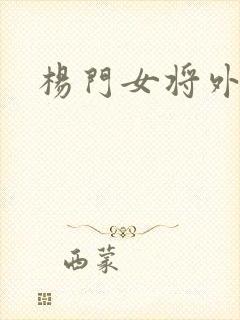 杨门女将外传