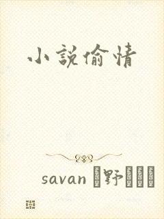 小说偷情