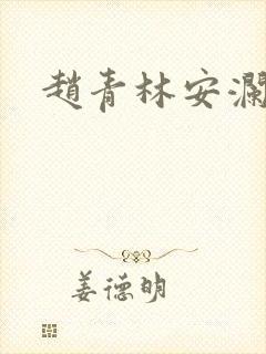 赵青林安澜小说封面
