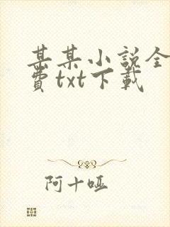 某某小说全文免费txt下载