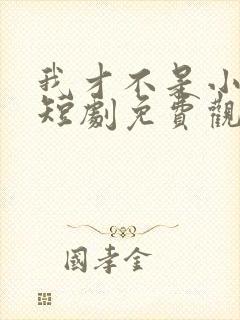 我才不是小可怜短剧免费观看全集