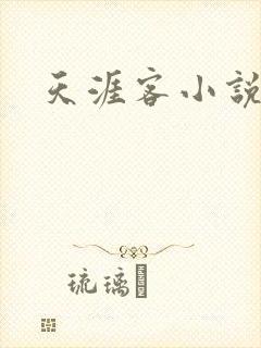 天涯客小说封面