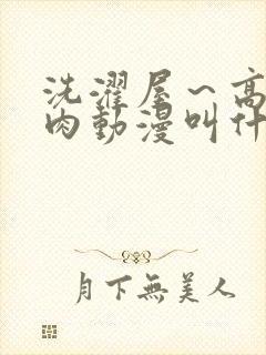 洗濯屋～高柳の肉动漫叫什么