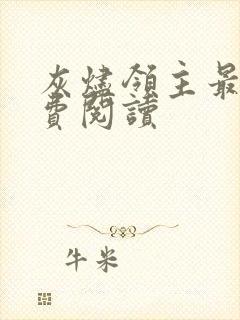 灰烬领主最新免费阅读封面