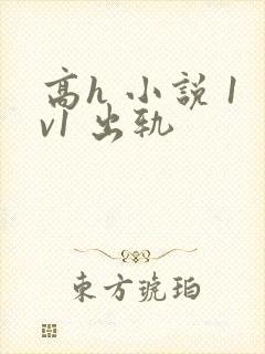 高h 小说 1v1 出轨