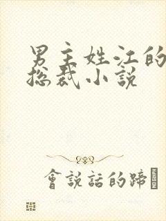 男主姓江的现代总裁小说