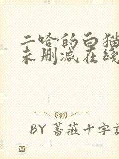 二哈的白猫师尊未删减在线阅读