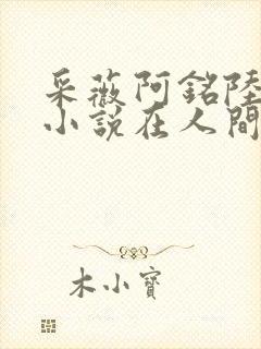 采薇阿铭陆三平小说在人间封面