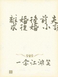 离婚后前夫哭着求复婚 小说阅读