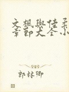 文枫与佳柔全集章节大全小说封面