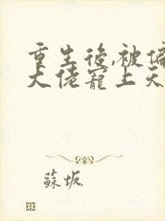 重生后,被偏执大佬宠上天 芮林一