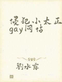 侵犯小太正裸体gay网站