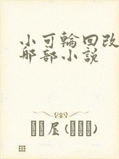 小可轮回改编自哪部小说