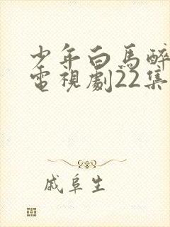 少年白马醉春风电视剧22集在线观看
