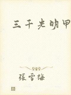 三千光明甲