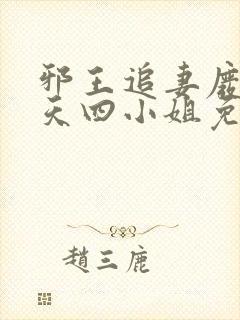 邪王追妻废材逆天四小姐免费阅读全文