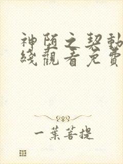神堕之契动漫在线观看免费高清