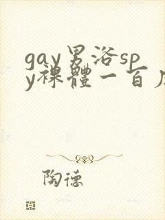 gay男浴spy裸体一百度