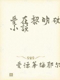 爱在黎明破晓前小说
