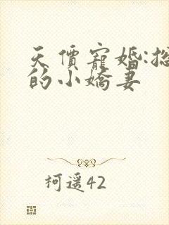 天价宠婚:总裁的小娇妻