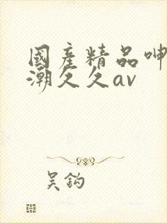 国产精品呻吟高潮久久av