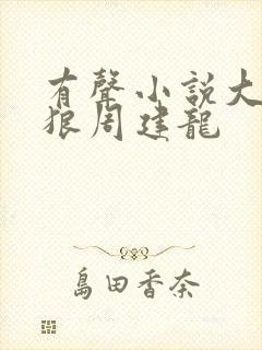 有声小说大漠苍狼周建龙