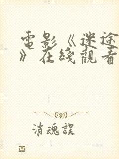 电影《迷途救赎》在线观看免费高清