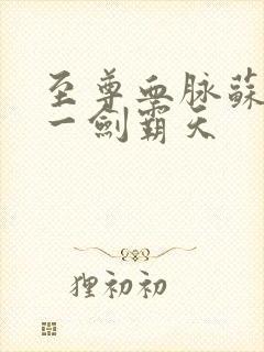 至尊血脉苏铭渊一剑霸天