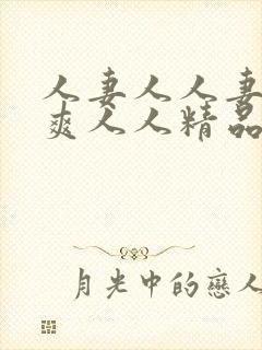 人妻人人妻人人爽人人精品