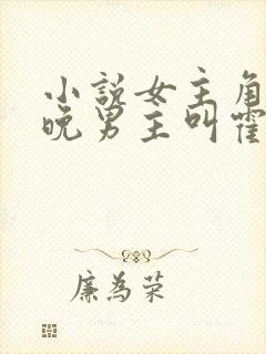 小说女主角叫顾晚男主叫霍