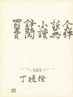 罗铮小说全文免费阅读无弹窗