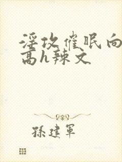 淫攻催眠向np高h辣文