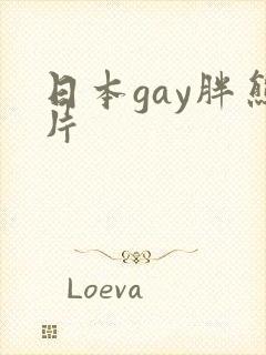 日本gay胖熊片