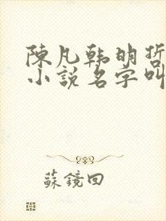 陈凡韩明哲替身小说名字叫什么来着