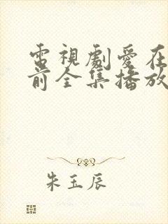 电视剧爱在日落前全集播放