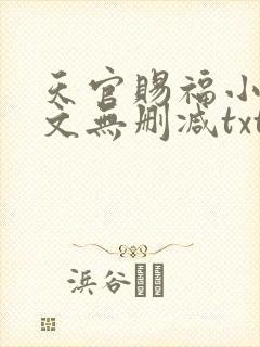 天官赐福小说全文无删减txt