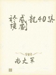 于成龙40集电视剧封面