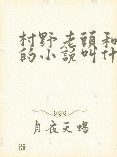 村野老头和苏婉的小说叫什么名字